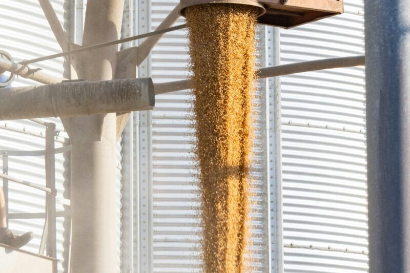 全方位乾糧機設備保養與安全指引